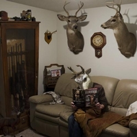 person reading a hunting mag with the head of a animal with antlers